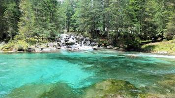 nebbia mattutina nella foresta - bellissimo paesaggio - disegno prato nella foresta tropicale foto