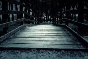 ponte di legno in uno stagno foto