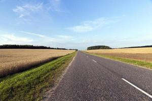 strada asfaltata, campo foto