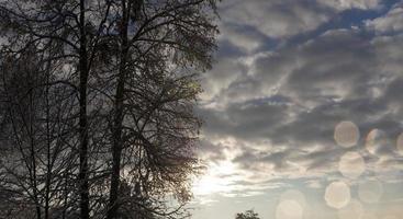 clima invernale nel parco foto