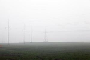 poli elettrici nella nebbia foto