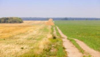 raccogliere il raccolto di grano foto