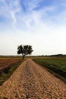 strada di primavera. stagione foto