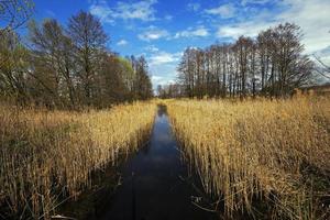 piccolo lago. molla foto