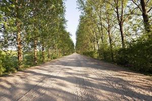 strada in campagna foto