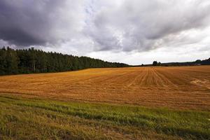 tempo nuvoloso . campo foto