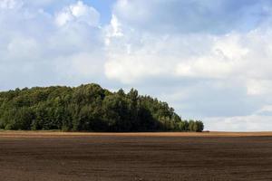 terra arata, campo foto