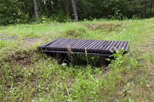 piccolo ponte di legno foto