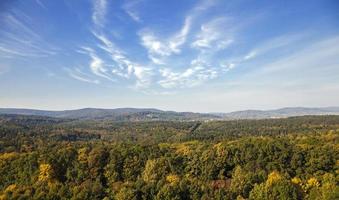 foresta in autunno foto