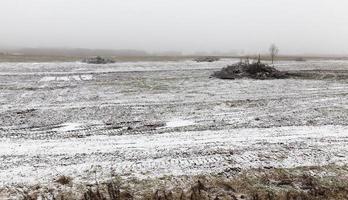 tempo mattutino, inverno foto