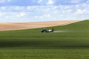 lavorazione dei cereali foto