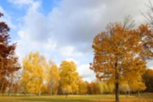 autunno nel parco foto