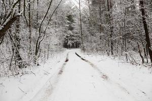 la strada d'inverno foto