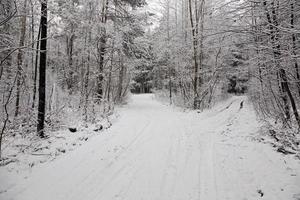 la strada d'inverno foto