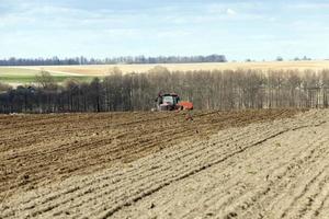 campo agricolo con cereali foto