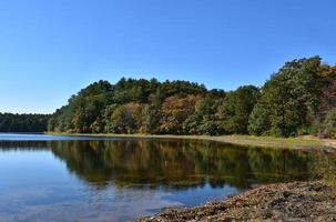 alberi che circondano un lago calmo in autunno foto