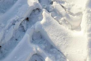 strada sotto la neve foto