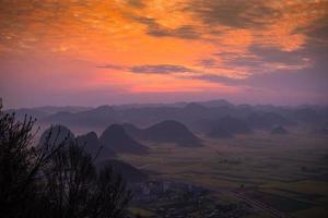 campo di fiori di colza giallo a luoping, cina foto