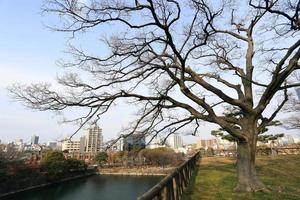 un'ampia vista della città di osaka foto