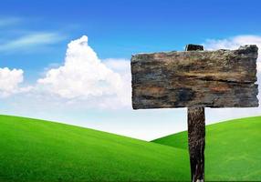 cartello in legno con erba e cielo blu foto