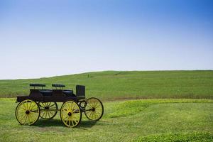 carro pieno di zucche in fattoria foto