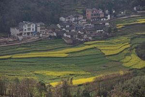 paesaggio fresco primaverile di campi colorati, cielo all'alba e splendida valle delle colline foto