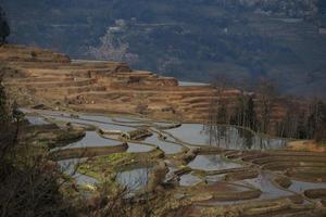 vista delle terrazze di riso di yuan yang foto