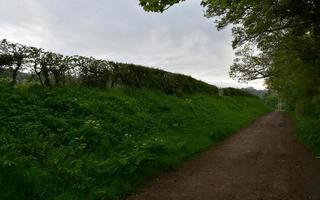 siepi che fiancheggiano un sentiero di campagna sterrato in Inghilterra foto