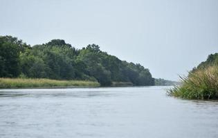 belle viste panoramiche lungo il fiume bayou foto