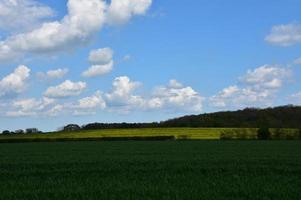 campagna inglese con campi di colza e coltivazioni foto