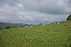 cieli grigio scuro sui campi di una fattoria foto