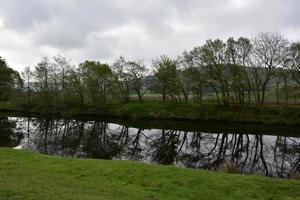 alberi che si riflettono nelle acque del fiume in primavera foto
