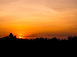 silhouette tramonto sul campo di riso foto