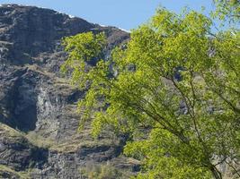 flam e l'aurlandsfjord in Norvegia foto