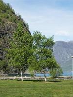 flam e l'aurlandsfjord in Norvegia foto