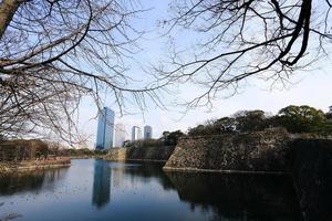 un fossato che circonda il castello di osaka in giappone, inverno foto