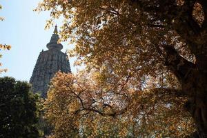 tempio mahabodhi, bodh gaya, india foto