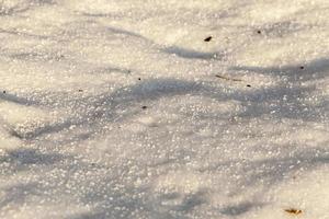 la neve trascina lo sporco. foto