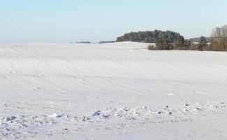 campo agricolo arato coperto di neve foto