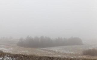 bufera di neve del paesaggio invernale foto