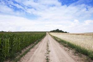 strada in un campo foto