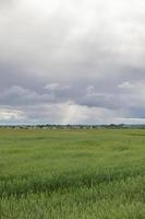 campo agricolo, cielo foto