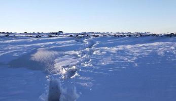 stagione invernale. foto