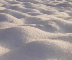 cumuli di neve, primo piano foto