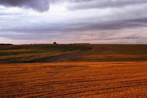 strada per il campo, tramonto foto