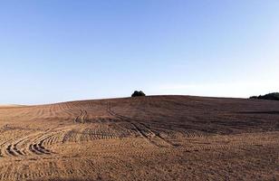 terreno fertile arato foto