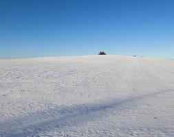 cumuli di neve, campo foto