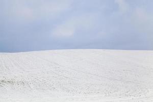 cumuli di neve, campo foto