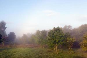 paesaggio con nebbia foto