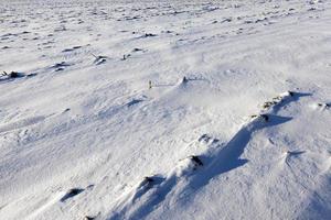 superficie della neve foto